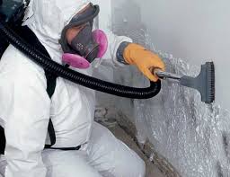 Best Commercial Mold Inspection  in Jarrettsville, MD